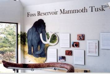 Foss Reservoir Mammoth Tusk
